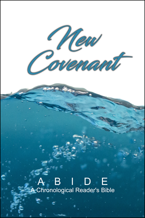ABIDE: New Covenant