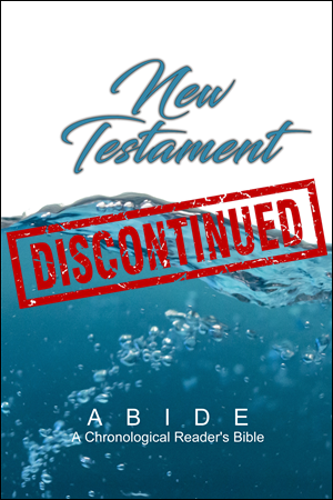 ABIDE: New Testament